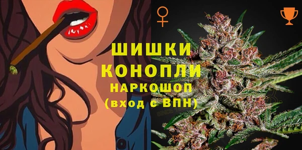герыч Новодвинск