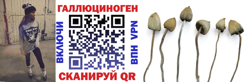 Галлюциногенные грибы Cubensis  Орехово-Зуево 